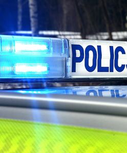 Wypadek podczas pościgu. Radiowóz uderzył w drzewo, ścigany uciekł