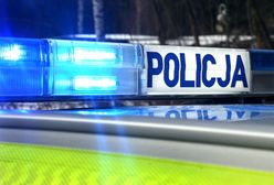 Wypadek podczas pościgu. Radiowóz uderzył w drzewo, ścigany uciekł
