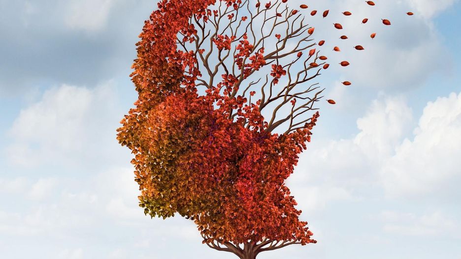 Czym jest choroba Alzheimera?