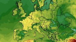 Pogoda długoterminowa. IMGW mówi, czy widać wiosnę