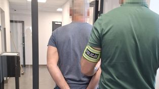 Otwock: Kierowca mitsubishi celowo wjechał w stado dzików. Grozi mu kara do 3 lat pozbawienia wolności