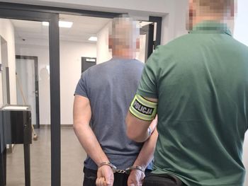 Otwock: Kierowca mitsubishi celowo wjechał w stado dzików. Grozi mu kara do 3 lat pozbawienia wolności
