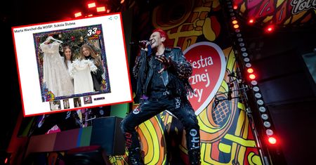 Najciekawsze aukcje WOŚP. Prywatny koncert Michała Wiśniewskiego i nie tylko