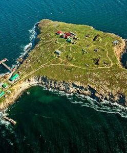 Obrońcy Wyspy Węży żyją. Trafili do niewoli