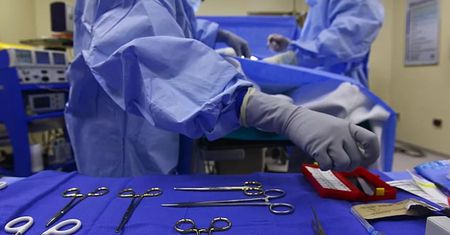 Pierwsza taka transplantacja. Chińczycy przeszczepili mężczyźnie wątrobę od świni