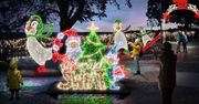 Płockie Ogrody Światła rozbłysną 14 grudnia