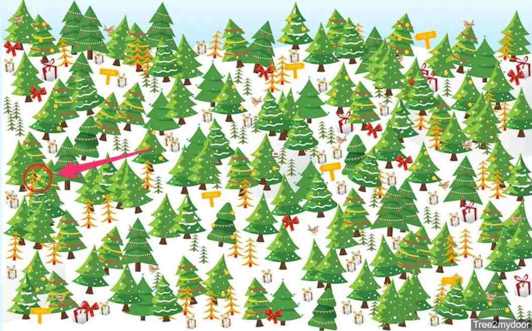 Tu znajduje się gwiazda