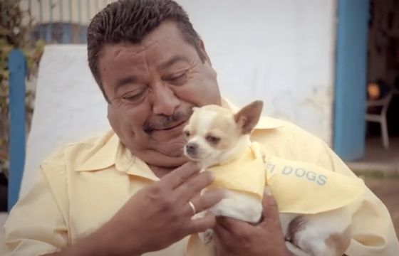 „Szukaj przygód, a nie Wi-Fi” - T-Mobile reklamuje Travel &amp; Surf (wideo)