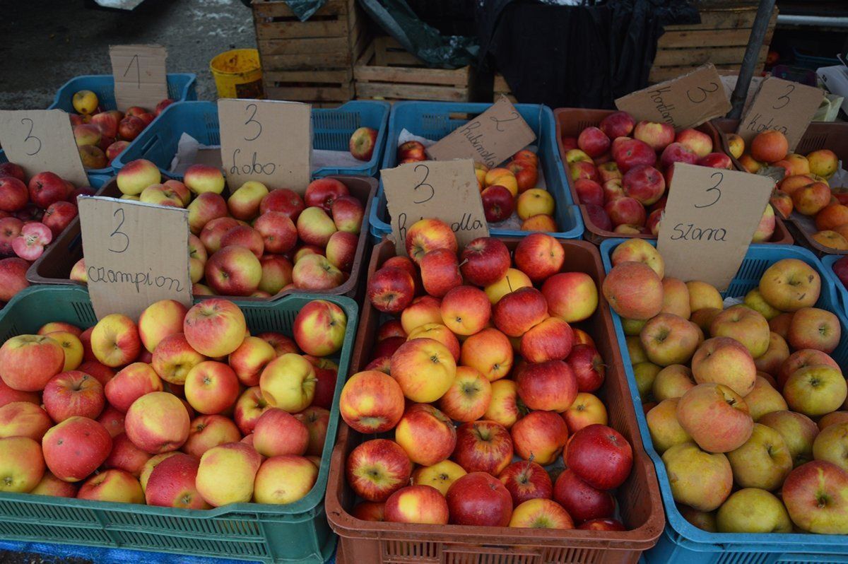 Odmiany jabłek i ich uprawa w Polsce
