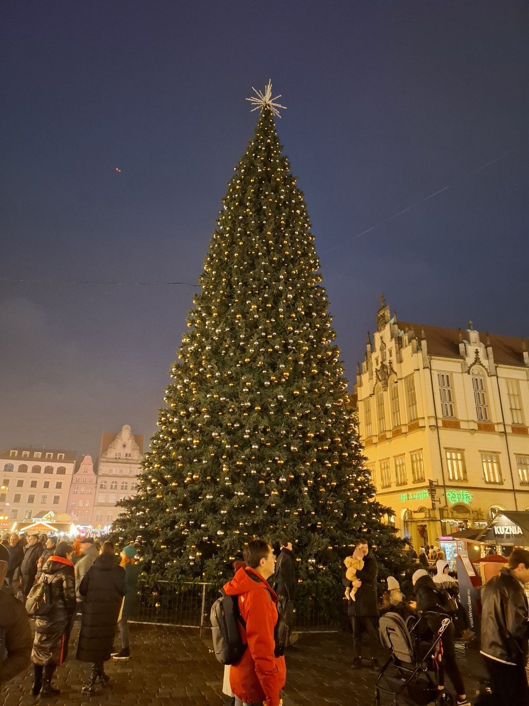 Oficjalne rozświetlenie choinki na wrocławskim Jarmarku Bożonarodzeniowym