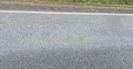 Nieznana substancja na drodze pod Płockiem. DK 60 zablokowana