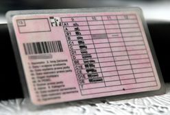 Mazowieckie. Obcokrajowiec miał podrobione prawo jazdy. Kupił je za 300 euro