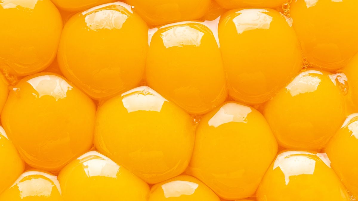 Egg Yolks
Crowded Egg Yolks Full Frame Shot.
MirageC