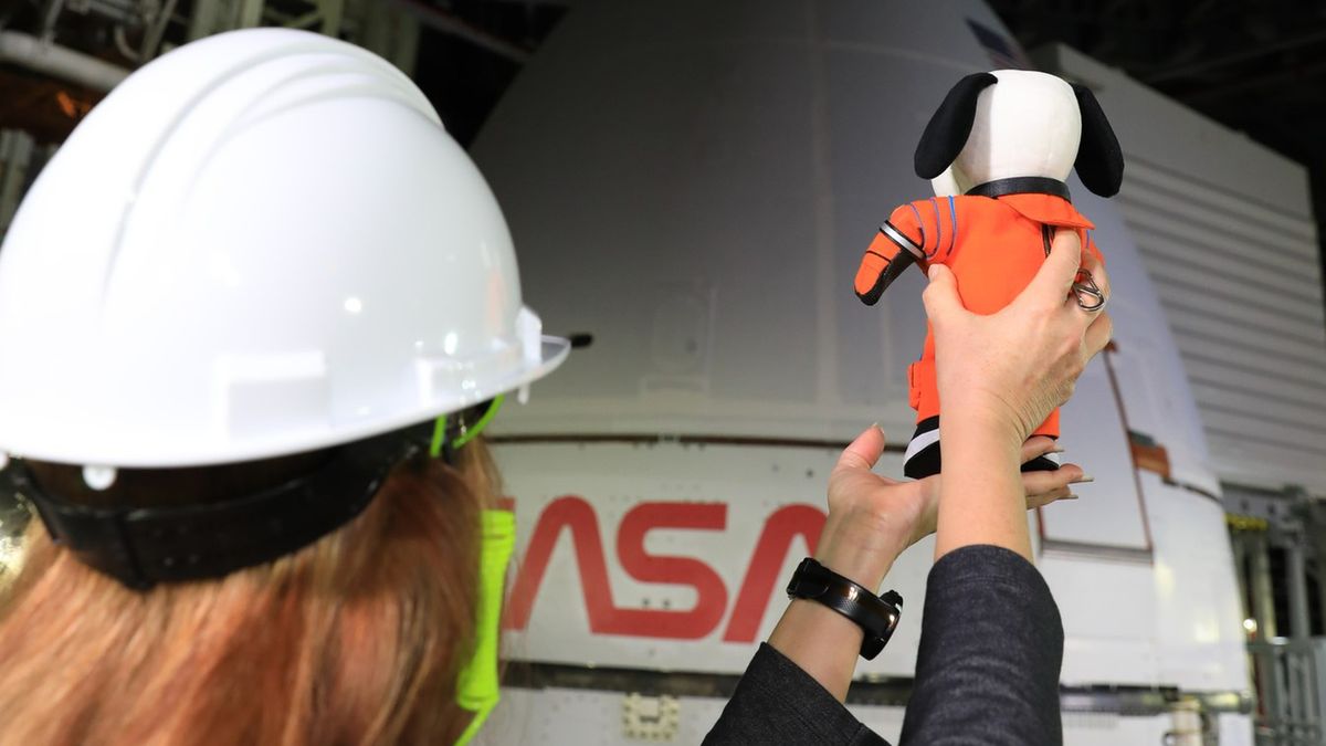 Pluszowy piesek Snoopy będzie jednym z członków załogi podczas misji Artemis I