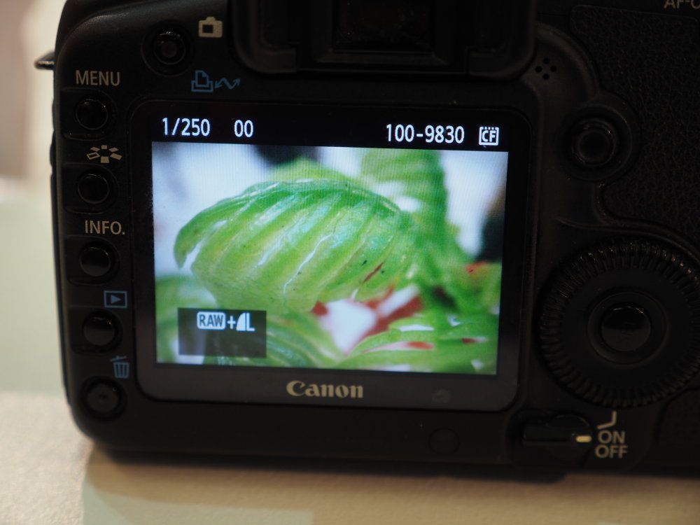 Laowa 24 mm f/14 Replay 2x Macro to obiektyw o dość nietypowym kształcie 3