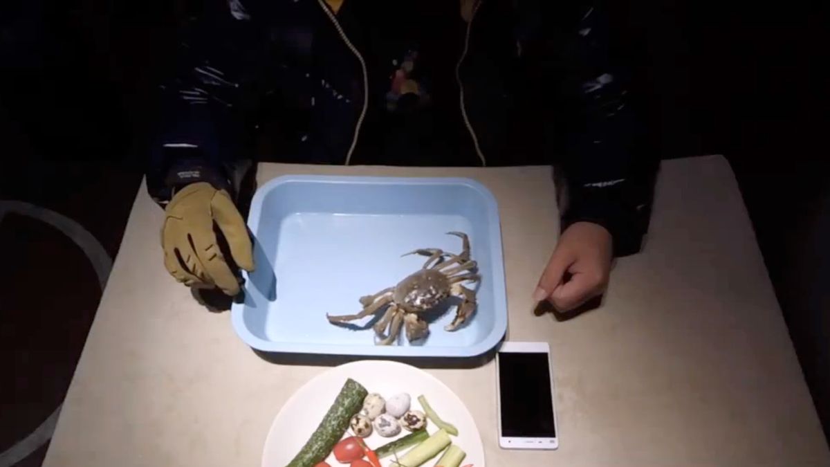 W skrócie: Samsung pokonany przez Xiaomi oraz kraby i homary testujące smartfona 1