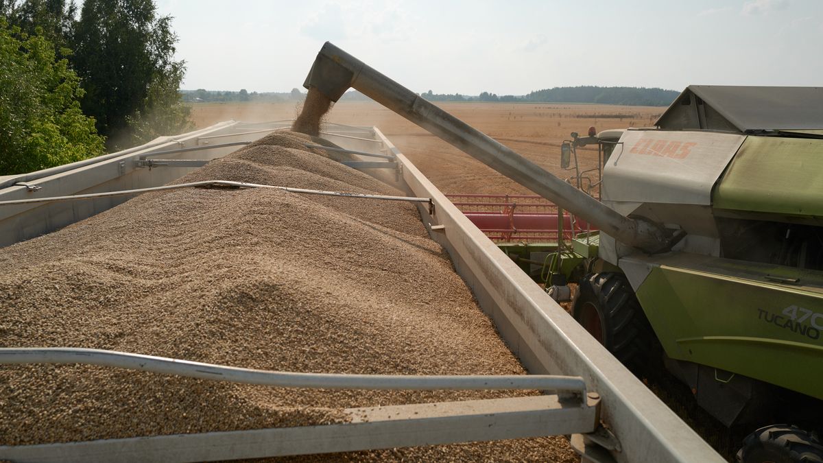 Mołdawia i Rumunia rozmawiają z Ukrainą o korytarzu dla tranzytu ukraińskiego zboża