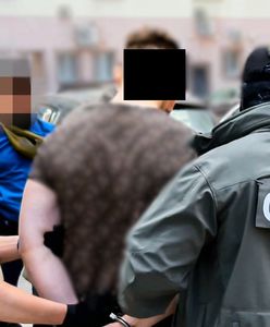 Akcja CBŚP. 23-latek planował uprowadzenie dziecka dla okupu. W grę wchodziło 2 mln złotych