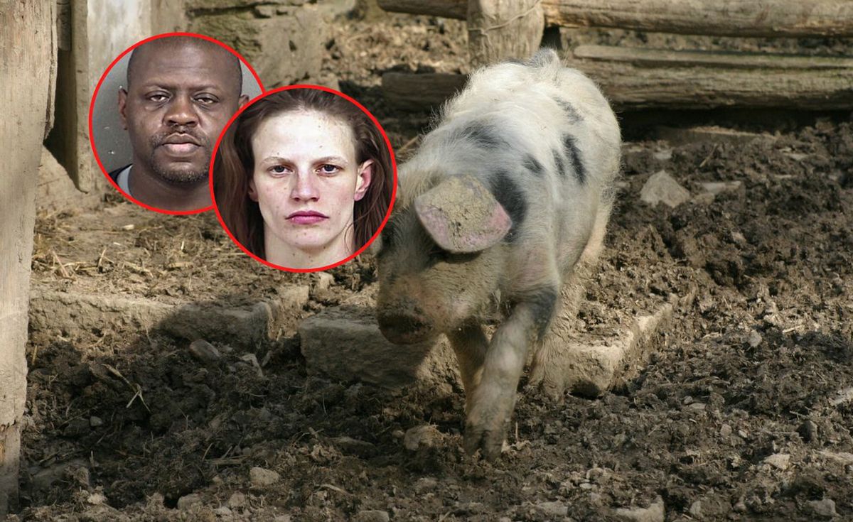 Michael i Heather Jones tortulowali 7-latka i jego ciało rzucili na pożarcie świniom