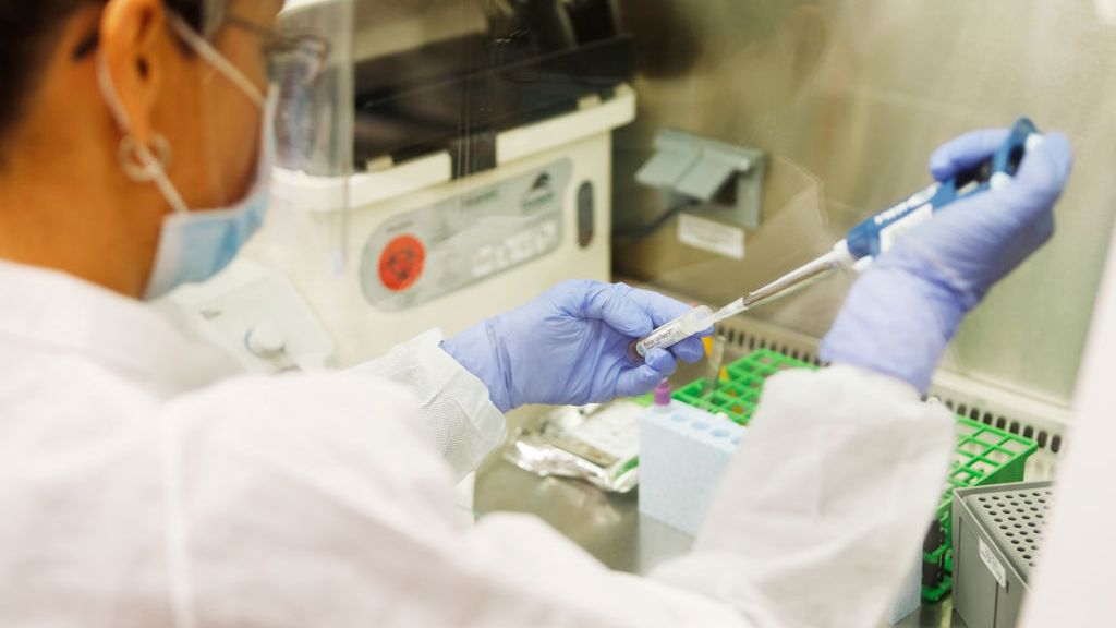 grzyb pandemia koronawirus covid-19