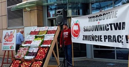 Sadownicy idą na wojnę z Biedronką. Grożą blokowaniem zaopatrzenia do sklepów