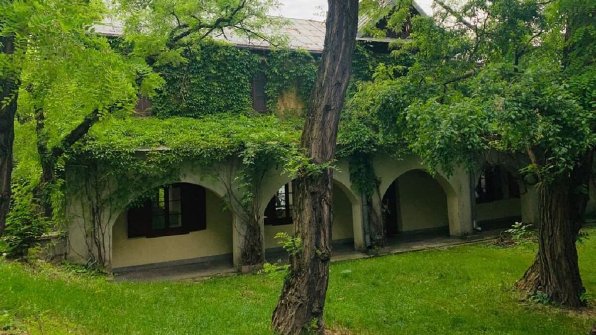 Pnącza na budynku przy ul. Misjonarskiej