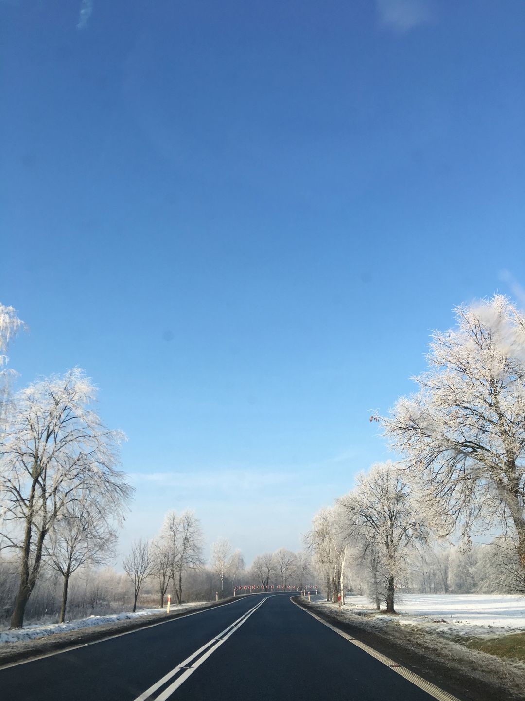 Test jakości zdjęć iPhone'a 6s. Czy Apple nadal jest królem fotograficznych smartfonów? 102