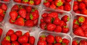 Zamienia truskawki w truciznę. Tak nie popełnisz błędu