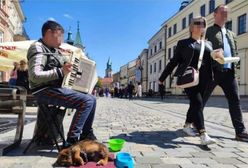 Piesek uratowany. Co z dzieckiem żebrzącym w centrum miasta?