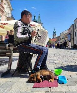 Piesek uratowany. Co z dzieckiem żebrzącym w centrum miasta?