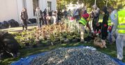 Lublin: Zielony Budżet. O realizację powalczy 30 projektów