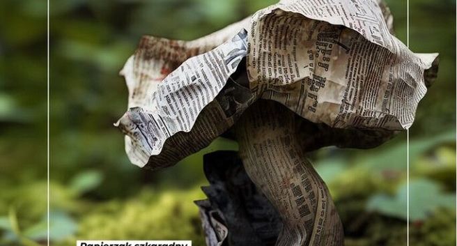 Lasy Państwowe z kampanią wygenerowaną przez AI