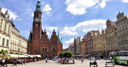 Wrocław walczy z plagą szczurów. Mają się tym zająć właściciele lokali