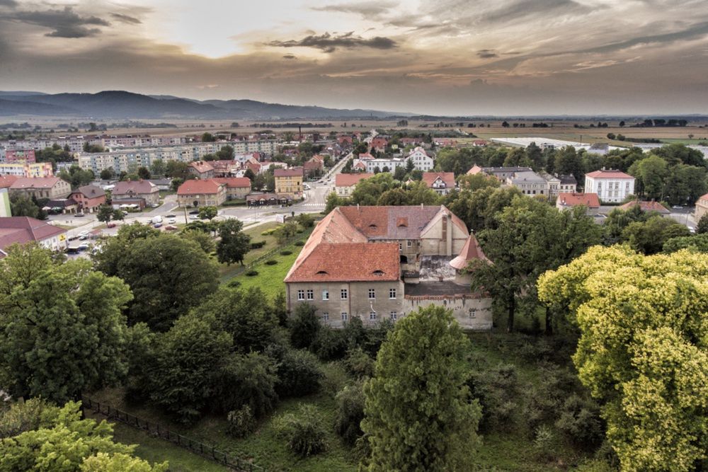 Bielawa. Zabytkowy pałac na sprzedaż. Cena wywoławcza to 1,3 miliona złotych