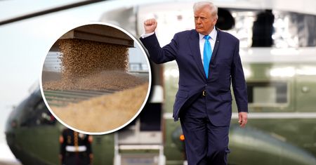 Pierwszy efekt "pokoju chińskiego" Trumpa. Duży zwrot Chin ws. soi