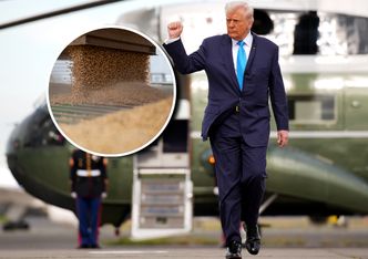 Pierwszy efekt "pokoju chińskiego" Trumpa. Duży zwrot Chin ws. soi