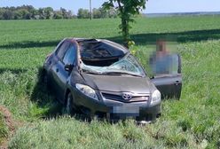 Jeleń wskoczył na auto. Kierowca nie miał szans