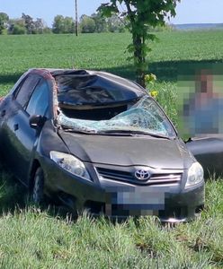 Jeleń wskoczył na auto. Kierowca nie miał szans