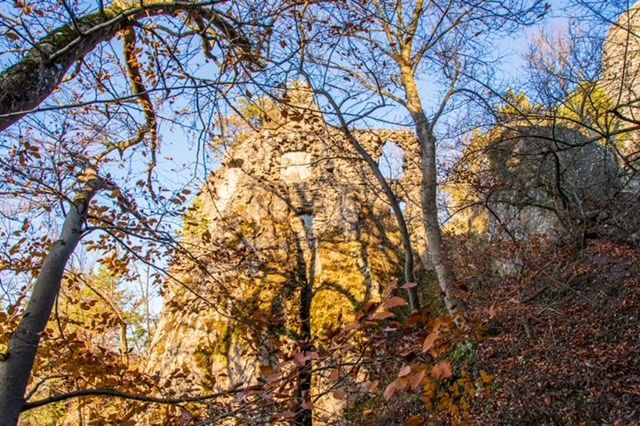 Zamek Sulovskie Skały