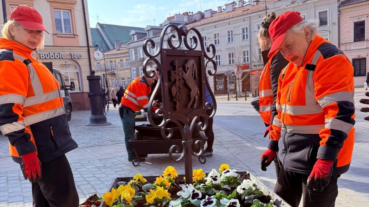 Wiosenne nasadzenia bratków w Lublinie