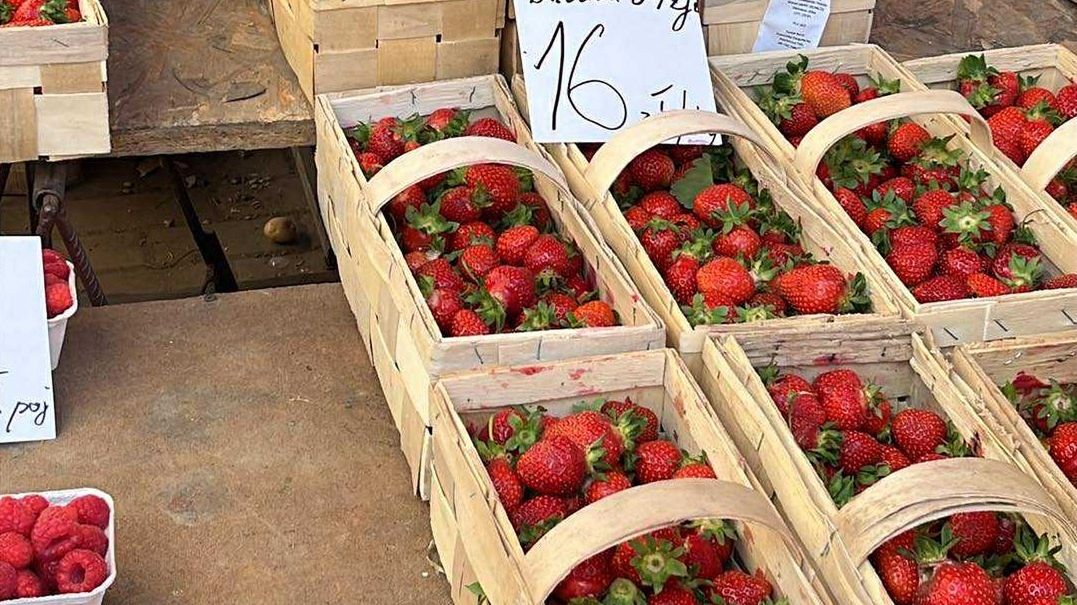 Oto aktualna cena truskawek w Warszawie