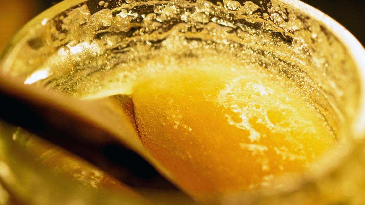 Miód facelinowy jest jednym z najzdrowszych