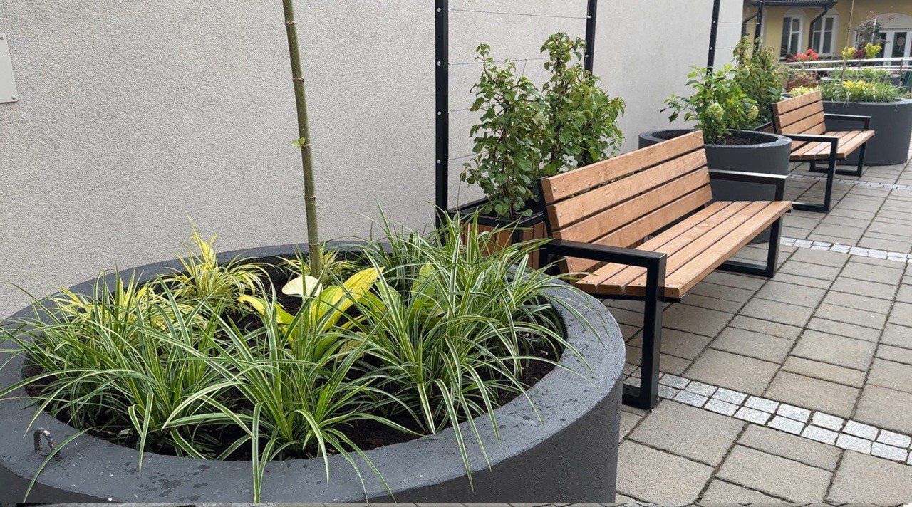 Gorlice: Miasto otwiera Zielony Dziedziniec. Mini park powstał w cieniu ratuszowej wieży