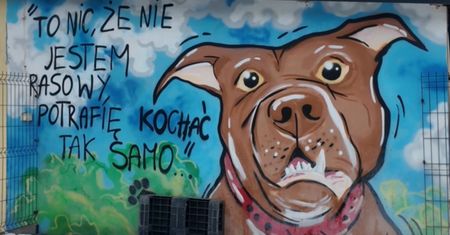 Burza wokół schroniska w Płocku: emocje, zarzuty i polityczne echo!