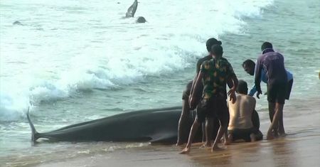 Walenie na plaży. Mieszkańcy złamali godzinę policyjną, ruszając na pomoc