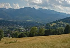 Zniszczył potok i siedlisko na Gubałówce. Kara? Można się zdziwić