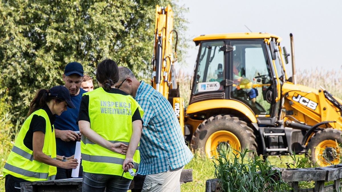 Szczecin, 17.08.2022. Akcja wyławiania śniętych ryb z Odry w dzielnicy Szczecin Żydowce, 17 bm. (jm) PAP/Jerzy Muszyński