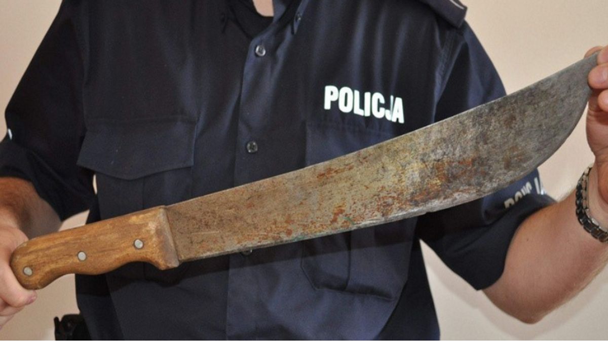 Zdjęcie ilustracyjne.