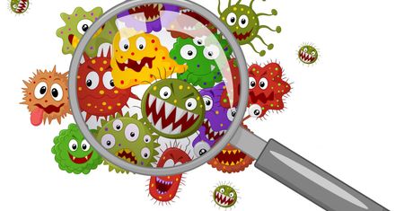 Riketsje – choroby, diagnostyka i leczenie