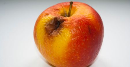 Apple iOS 13.1.2 znów z błędami. Czy iOS 13 to szybko wydany bubel?